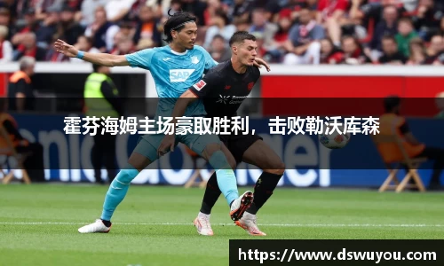 霍芬海姆主场豪取胜利，击败勒沃库森